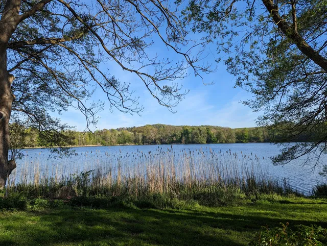 Förderverein Naturpark Mecklenburgische Schweiz und Kummerower See e.V.