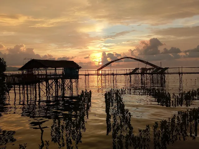 Mangrove tour Bebanga