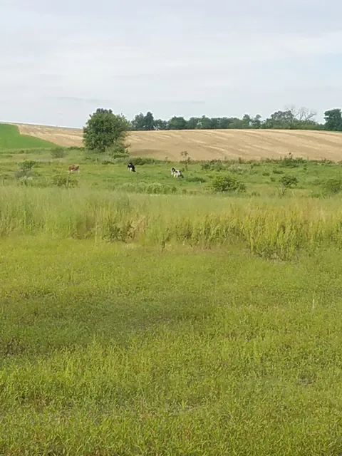 Centerport Borough Recreation Area