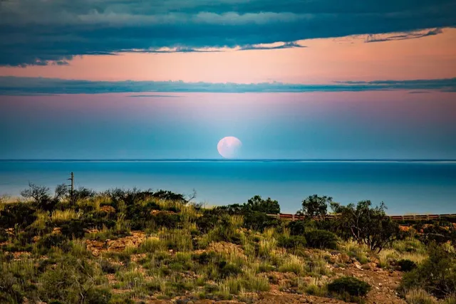 Ningaloo Reef to Range Tours