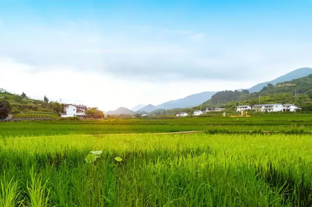 화포천습지 생태공원