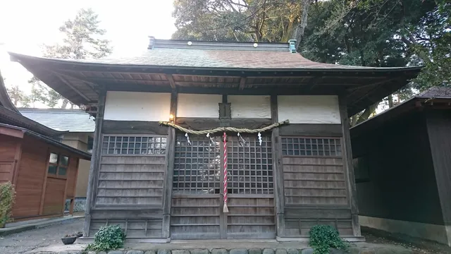 photo-1