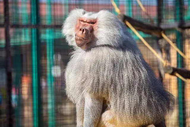 Tarsus Hayvan Parkı