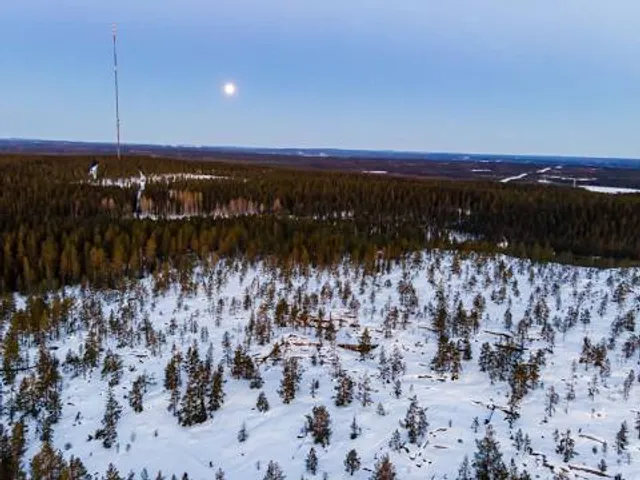 Vitberget, Skellefteå
