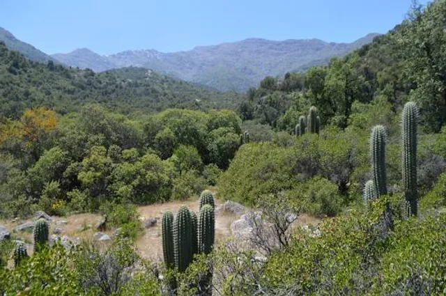 Río Clarillo National Park