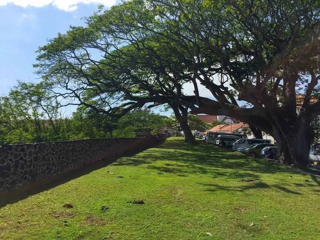 Plettenberg Bay Game Reserve