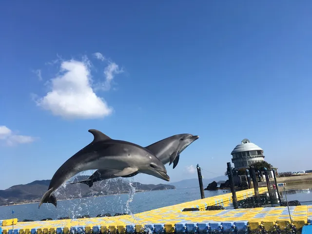 Japan Dolphin Center