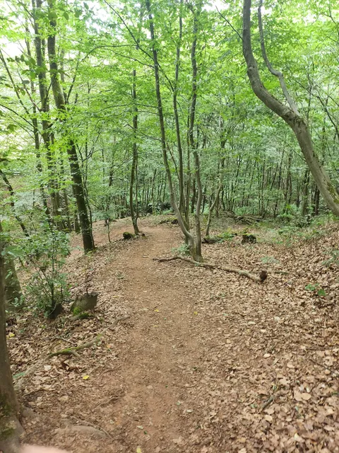 Aussichtsplattform Kleine Saarschleife