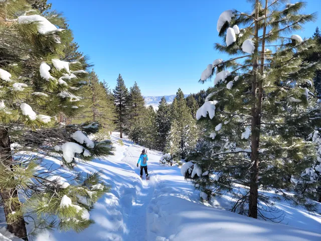 Galena Creek Visitor Center