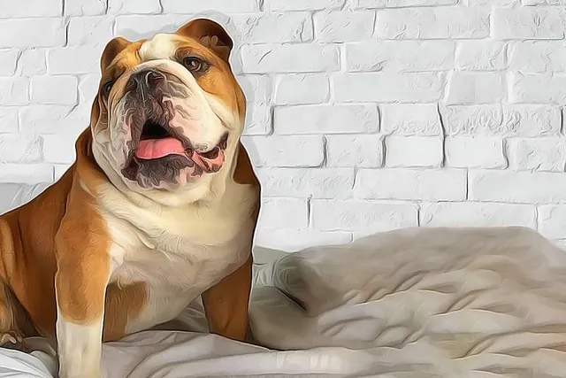 Distortions Monster World