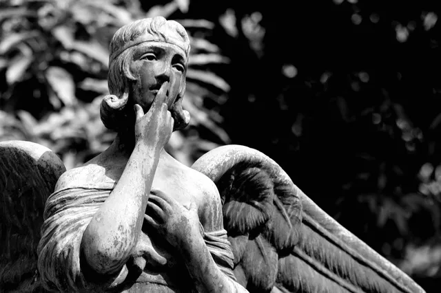 Patrimonial Cemetery Of The Charity Board Of Guayaquil (General Cemetery)