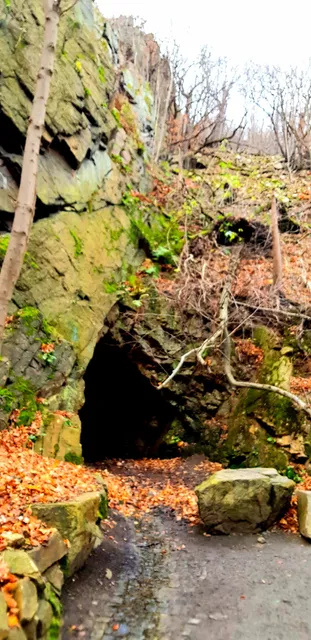 Präsidentenweg zur Rosstrappe