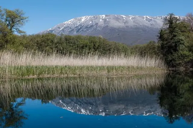 Black Drim's Springs