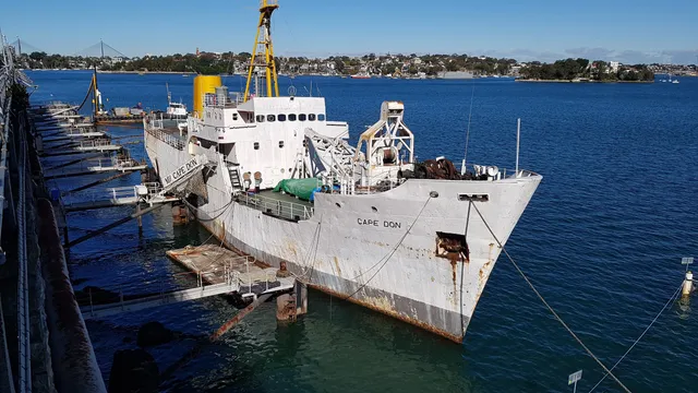 MV Cape Don Society Inc