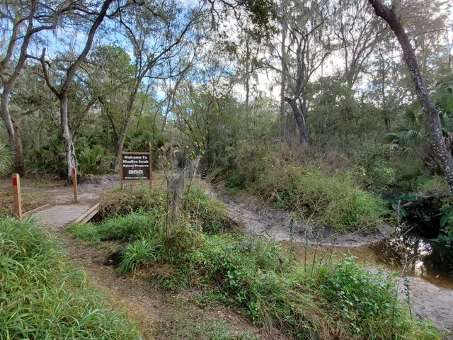 Rhodine Scrub Nature Preserve