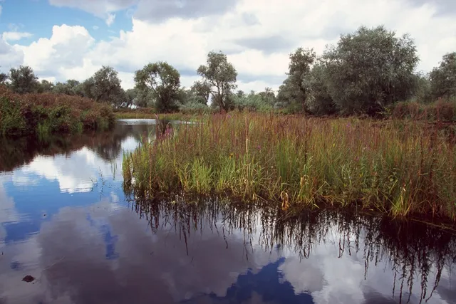 RSPB Nene Washes