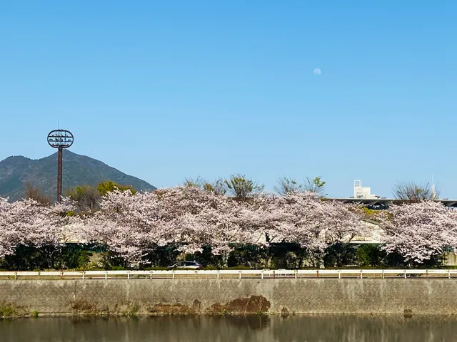 Murasakigawa Riverside Park