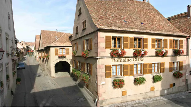 Domaine Armand Gilg Vigneron Indépendant Vins et Crémants d'Alsace