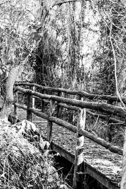 Bukit Batok Hillside Park