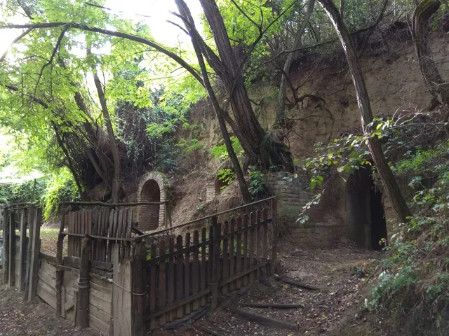 Szóládi löszpincesor