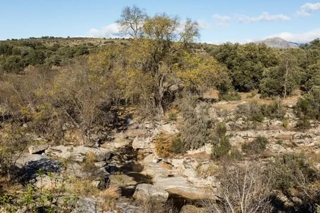 Ruta de los Molinos de Navalagamella