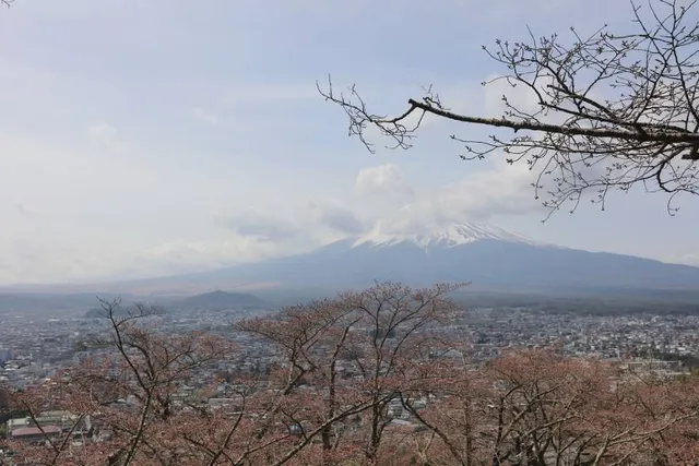 Arakura Fuji Sengen Shrine