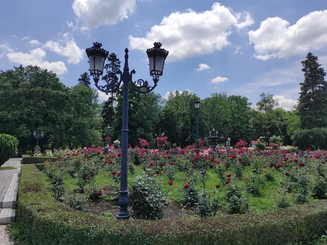 Rosarium in "Knyaz-Borisova Garden"