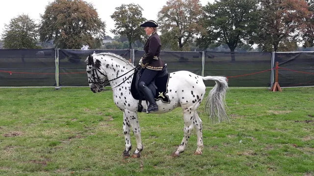 International Reenactors Fair