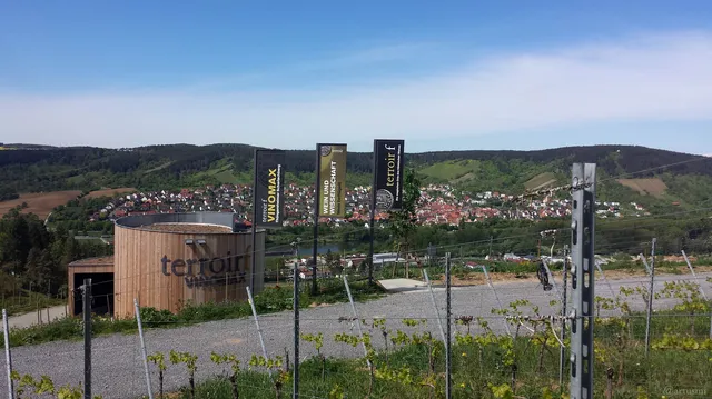 terroir f Thüngersheim - Wein und Wissenschaft (Magischer Ort)