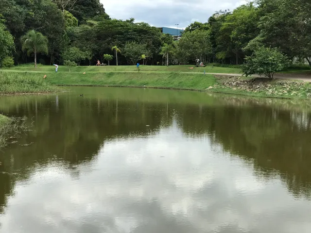 Parque Teresa Maia