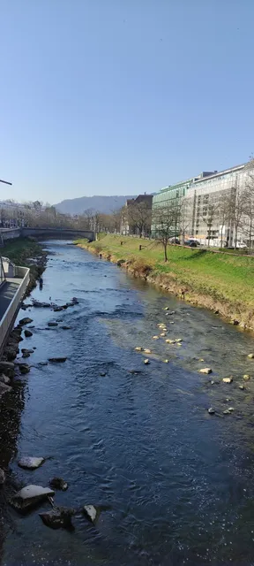 Foundation FCZ Museum