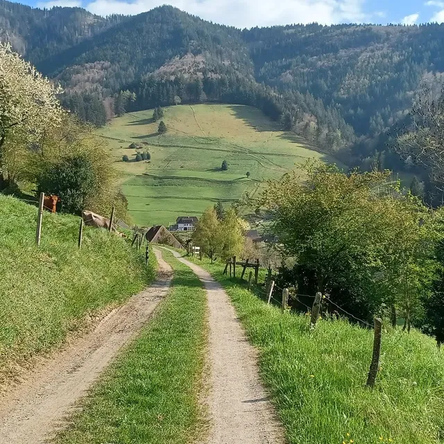 Schwarzwaldhaus 1902/Kaltwasserhof