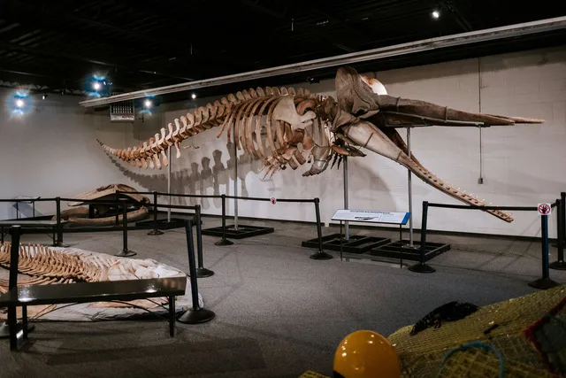 Quinte Museum of Natural History