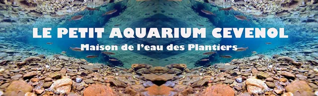 Écomusée Maison de l'eau des Plantiers