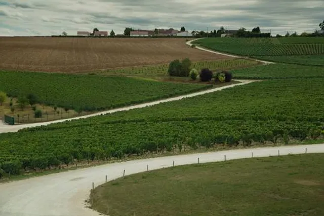 Domaine Jean-Marc Brocard