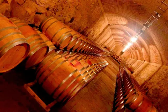 Bodegas Arúspide