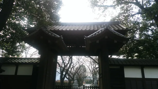 photo-1
