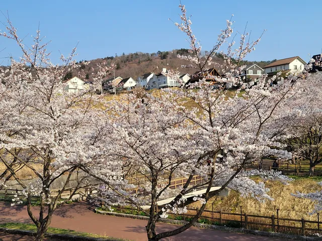 Nishikigaoka Chuo Park