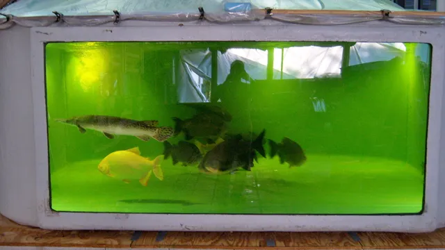 Fish Story Public Aquarium Attraction & Fish Rescue (open only by APPOINTMENT)