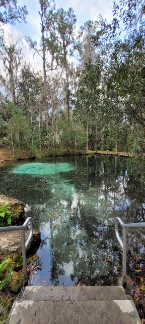 Welaka State Forest Mud Spring Trail