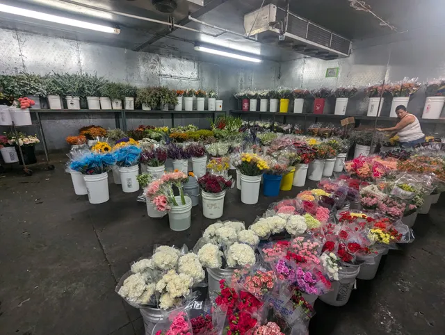 Fresh Flower Wholesale