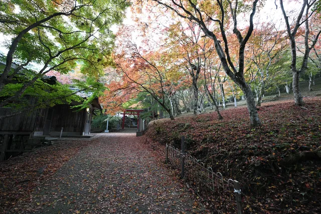 Ozuinariyama Park