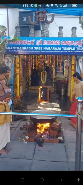 Ananthankadu Sree Nagaraja Temple Trust