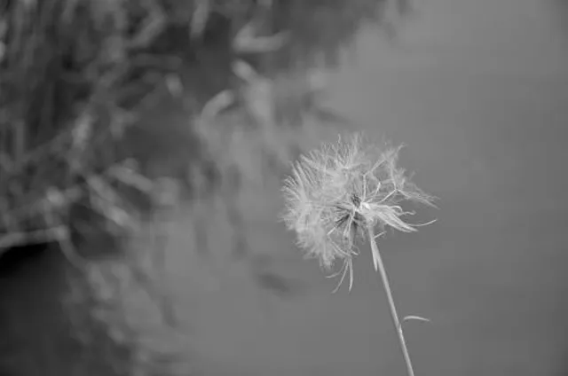 Château de la Garrigue