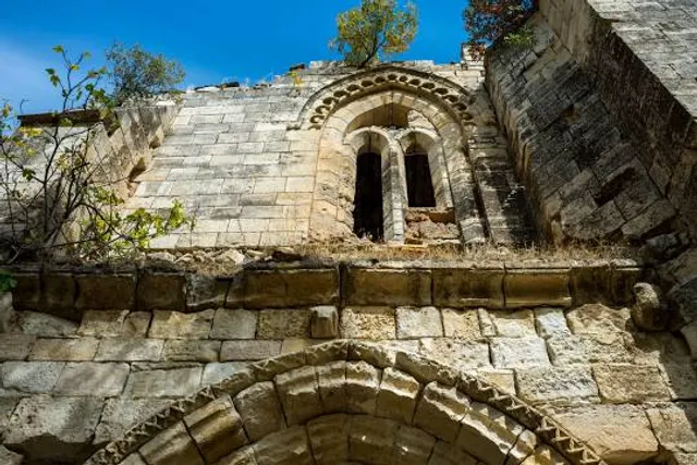 Monasterio de Santa María de Bonaval (ruinas)