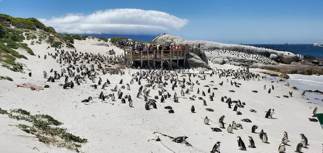Shark Warrior Adventure Centre