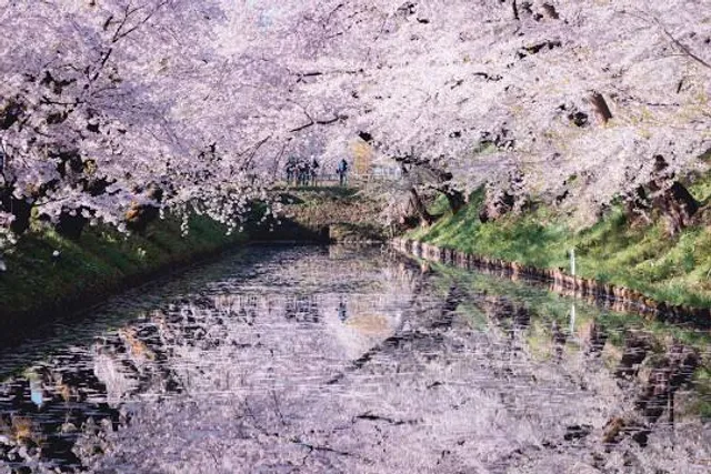 Терновский округ