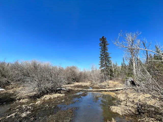 Weaselhead, North Glenmore Park