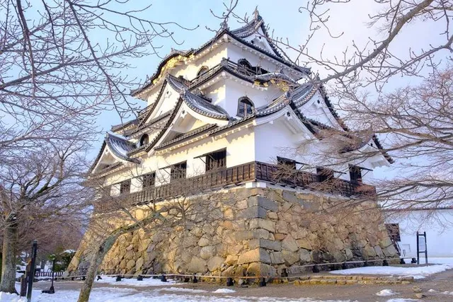 photo-1