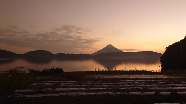 Golden Torii